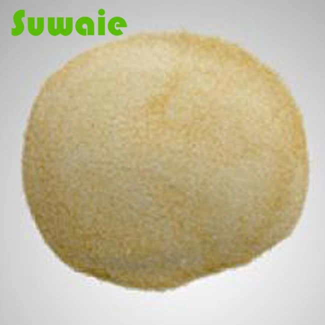 คำสั่งซื้อผง Mgo 4 ตันจากแอฟริกาใต้